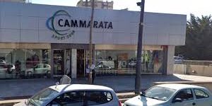 cammarata sport