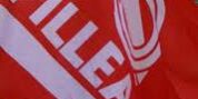 Fillea jpeg